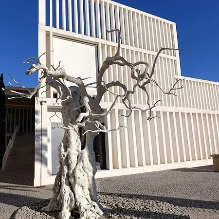 Destino Deluxe Helga *